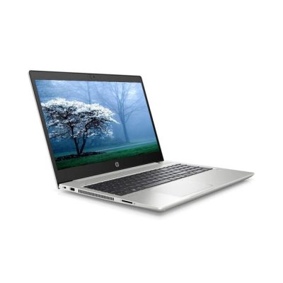 ProBook 450 G7