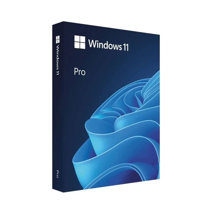 Windows 11 Pro FPP