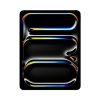 iPad Pro Black 13