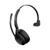 Evolve2 55 Mono