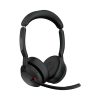 Evolve2 55 stereo