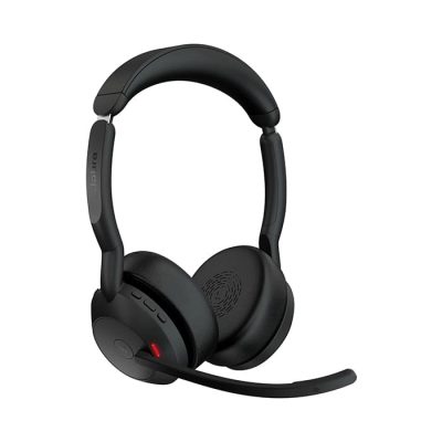 Evolve2 55 stereo