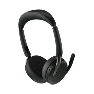 Evolve2 65 Flex Stereo