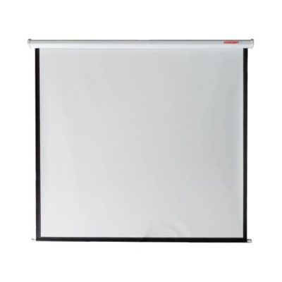 ScreenBoy Wall Screen