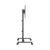 TV Cart