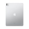 iPad Pro
